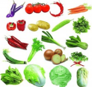 保举来由：①泉源掌控取品牌农业：具有自营或